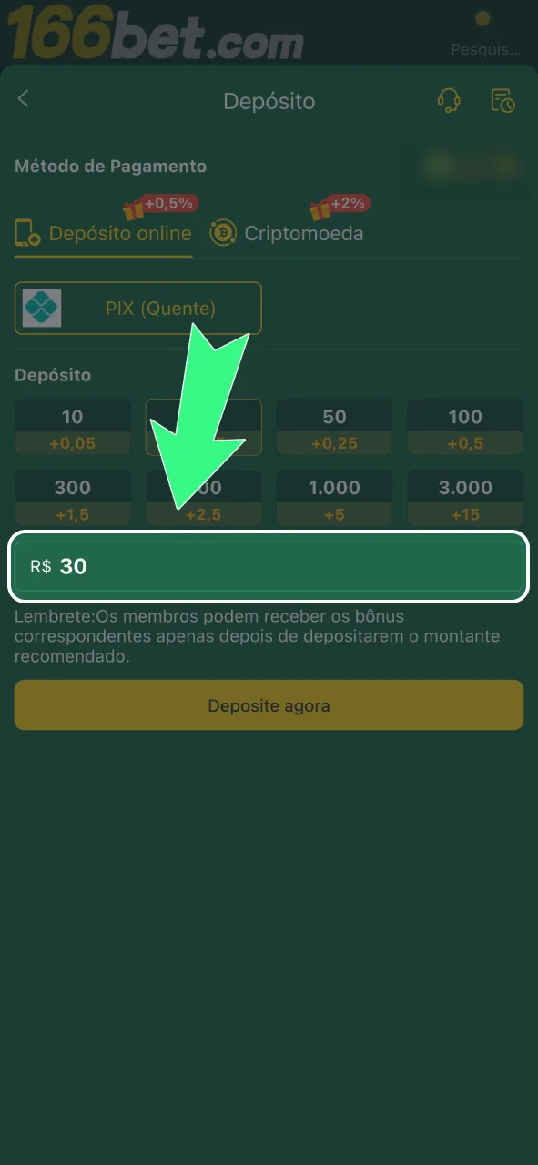 Digite o valor em reais na 166bet e confirme o depósito agora.