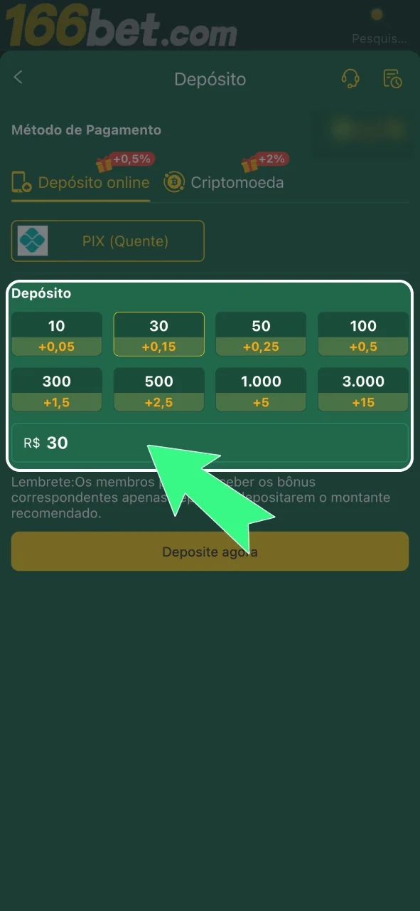 Informe o valor do depósito no cassino 166bet e siga as instruções do método escolhido.