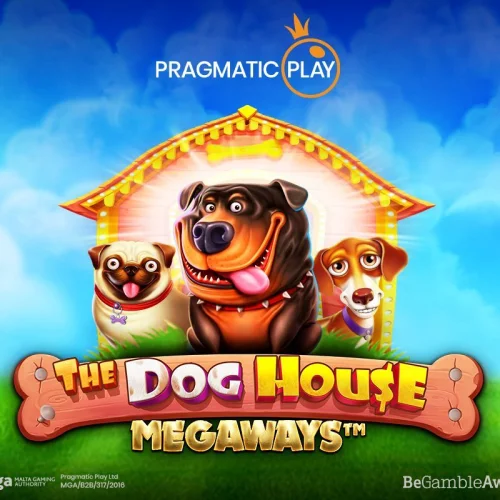 Jogue The Dog House Megaways no cassino 166bet e aproveite alta volatilidade.